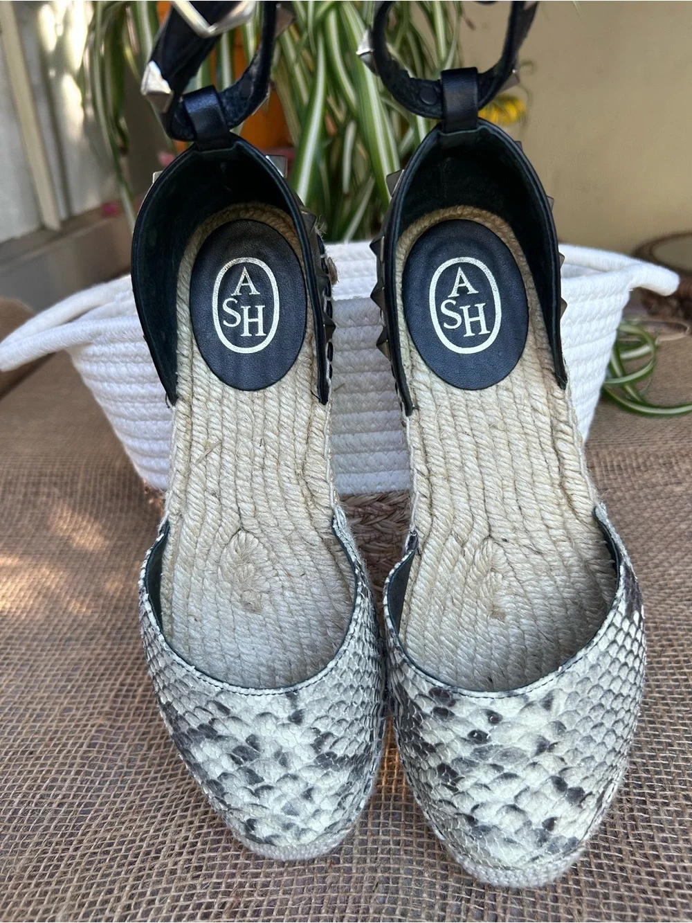 Ash espadrilles